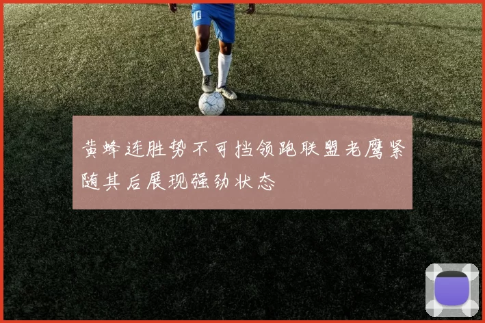 黄蜂连胜势不可挡领跑联盟老鹰紧随其后展现强劲状态