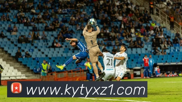 App Interface Preview