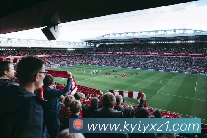 开云体育APP下载APP 封面图